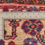 Perský koberec Bidjar Original 308 X 215 cm Perský koberec Bidjar Original 308 X 215 cm