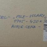 Boris Nosek - Pole, Volary Boris Nosek - Pole, Volary