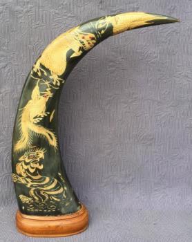 Roh buvola vodního I. Roh buvola vodního I.