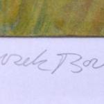 Boris Nosek - Pole, Volary Boris Nosek - Pole, Volary