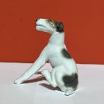 Rosenthal, foxteriér, pes Dášenka Rosenthal, foxteriér, pes Dášenka