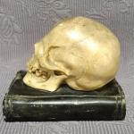 Těžítko : Lebka na knize Těžítko : Lebka na knize