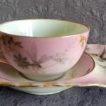 Šálek s podšálkem, zn. Březová ( Pirkenhammer ) Šálek s podšálkem, zn. Březová ( Pirkenhammer )