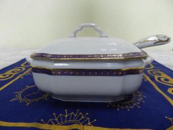 Malá Terina s modrým pruhem Malá Terina s modrým pruhem