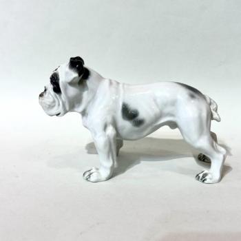 Rosenthal, Anglický buldok Rosenthal, Anglický buldok