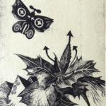 Václav Houf - PF 1974 J. Zemčík Václav Houf - PF 1974 J. Zemčík