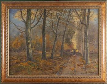 292. Podzimní cesta v lese 292. Podzimní cesta v lese