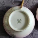 Šálek s podšálkem, zn. Březová ( Pirkenhammer ) Šálek s podšálkem, zn. Březová ( Pirkenhammer )