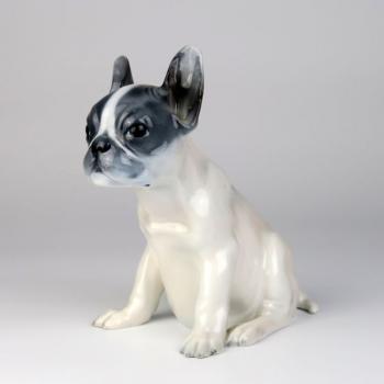 Francouzský buldoček Francouzský buldoček