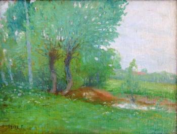 František Feikl (1877 - 1910) František Feikl (1877 - 1910)