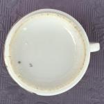 Hrnek - Brno - Špilberk  Hrnek - Brno - Špilberk