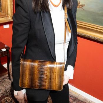 Kabelka z hadí kůže Kabelka z hadí kůže