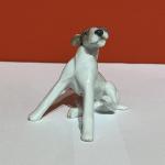 Rosenthal, foxteriér, pes Dášenka Rosenthal, foxteriér, pes Dášenka