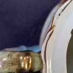 Cukřenka, zn. Pfeiffer & Löwenstein, Ostrov u KV Cukřenka, zn. Pfeiffer & Löwenstein, Ostrov u KV