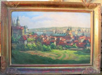 Šimůnek Jaroslav: Pohled na Prahu Šimůnek Jaroslav: Pohled na Prahu