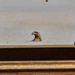 André Dero – Místo schůzky (1977) André Dero – Místo schůzky (1977)