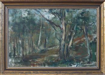 Lesní interiér Lesní interiér