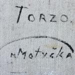 Motyčka Matěj : Torzo Motyčka Matěj : Torzo