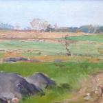 Kameničky - Vysočina Kameničky - Vysočina