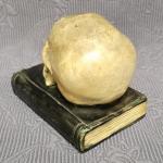 Těžítko : Lebka na knize Těžítko : Lebka na knize