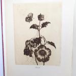 Ludmila Jiřincová - Vzpomínka na Ludmilu Ludmila Jiřincová - Vzpomínka na Ludmilu