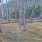 Travnatý háj Travnatý háj