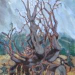 Václav Hejna, připsáno - Vyvrácený pařez Václav Hejna, připsáno - Vyvrácený pařez