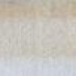 Emilie Tomanová - Pražské motivy Emilie Tomanová - Pražské motivy