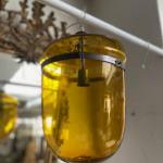 Závěsná stropnice žlutá  Závěsná stropnice žlutá