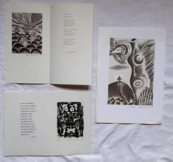 Olga Čechová - Dvě básně, Dívčí akt s křídly Olga Čechová - Dvě básně, Dívčí akt s křídly