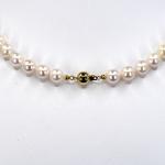 Perlový náhrdelník se zlatým uzávěrem Perlový náhrdelník se zlatým uzávěrem