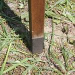 Židle secese 2 ks Židle secese 2 ks