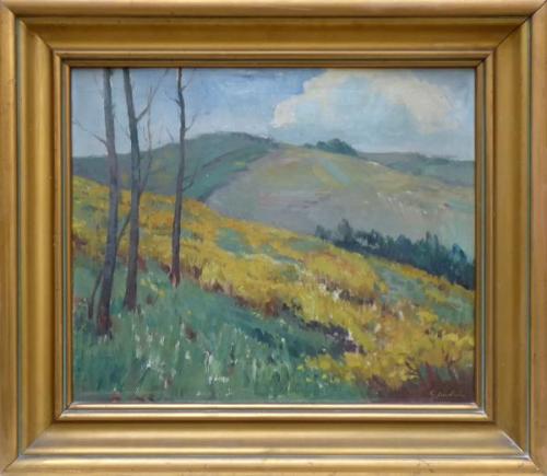 Podzimní stráň Podzimní stráň