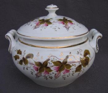 Terina polévková Terina polévková