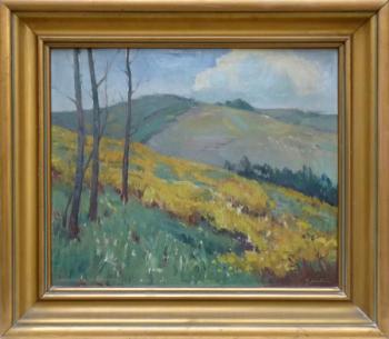 Podzimní stráň Podzimní stráň