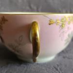 Šálek s podšálkem, zn. Březová ( Pirkenhammer ) Šálek s podšálkem, zn. Březová ( Pirkenhammer )