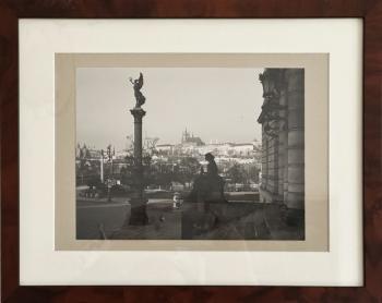 Jan Reich: U Rudolfina Jan Reich: U Rudolfina
