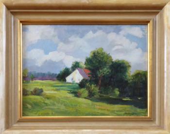 Stavení se stromy za slunného dne Stavení se stromy za slunného dne