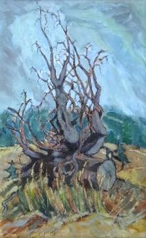 Václav Hejna, připsáno - Vyvrácený pařez Václav Hejna, připsáno - Vyvrácený pařez