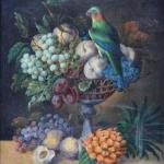 Neznámý autor - Zátiší s papouškem a ovocem