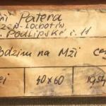 Patera Jiří : Plzeň - Podzim na Mži , dat. 1954