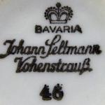 Kávový šálek s drobnými kytièkami - Johann Seltman
