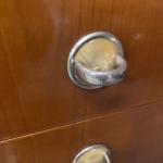 Kabinet-Skrinka-Art-Deco-detail3