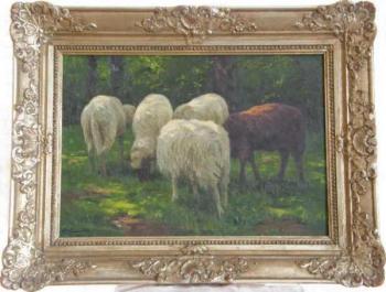 Ovce - V.H.Popelka