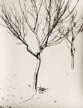 Josef Proek: Zima strom