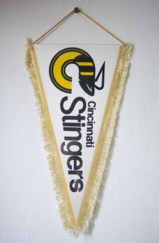 Vlajeka hokejovho klubu Cincinnati Stingers