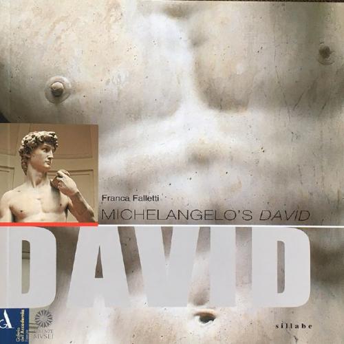 Franca Falletti: Michelangelo's David, Sillabe 2002