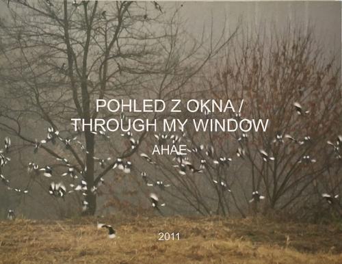 Ahae: Pohled z okna / Through my window, 2011