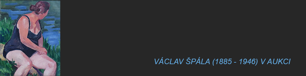 VSTUP DO AUKCE VSTUP DO AUKCE
